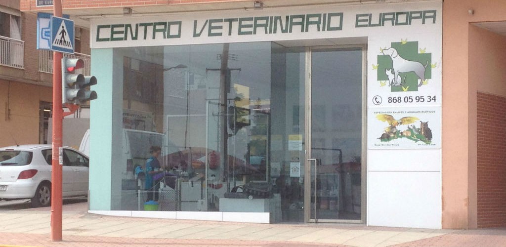 tienda-especializada-productos-alimentacion-mascotas